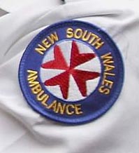 Paramedic Badge